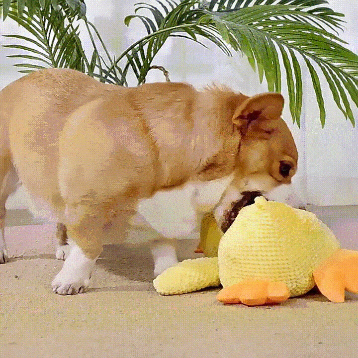 Quack-Attack Calming Duck