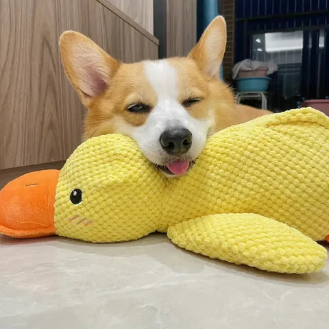 Quack-Attack Calming Duck