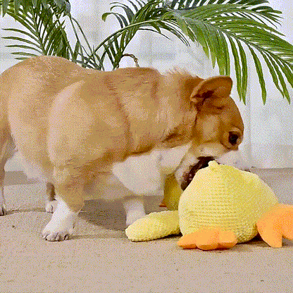 Quack-Attack Calming Duck